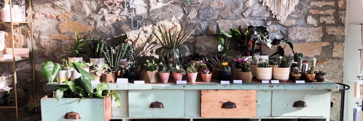 CONCEPT STORE