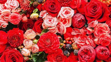 Lord of rose