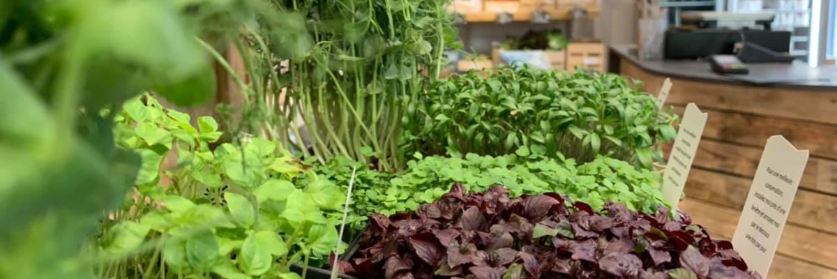 Ma ferme en ville – Terreaux
