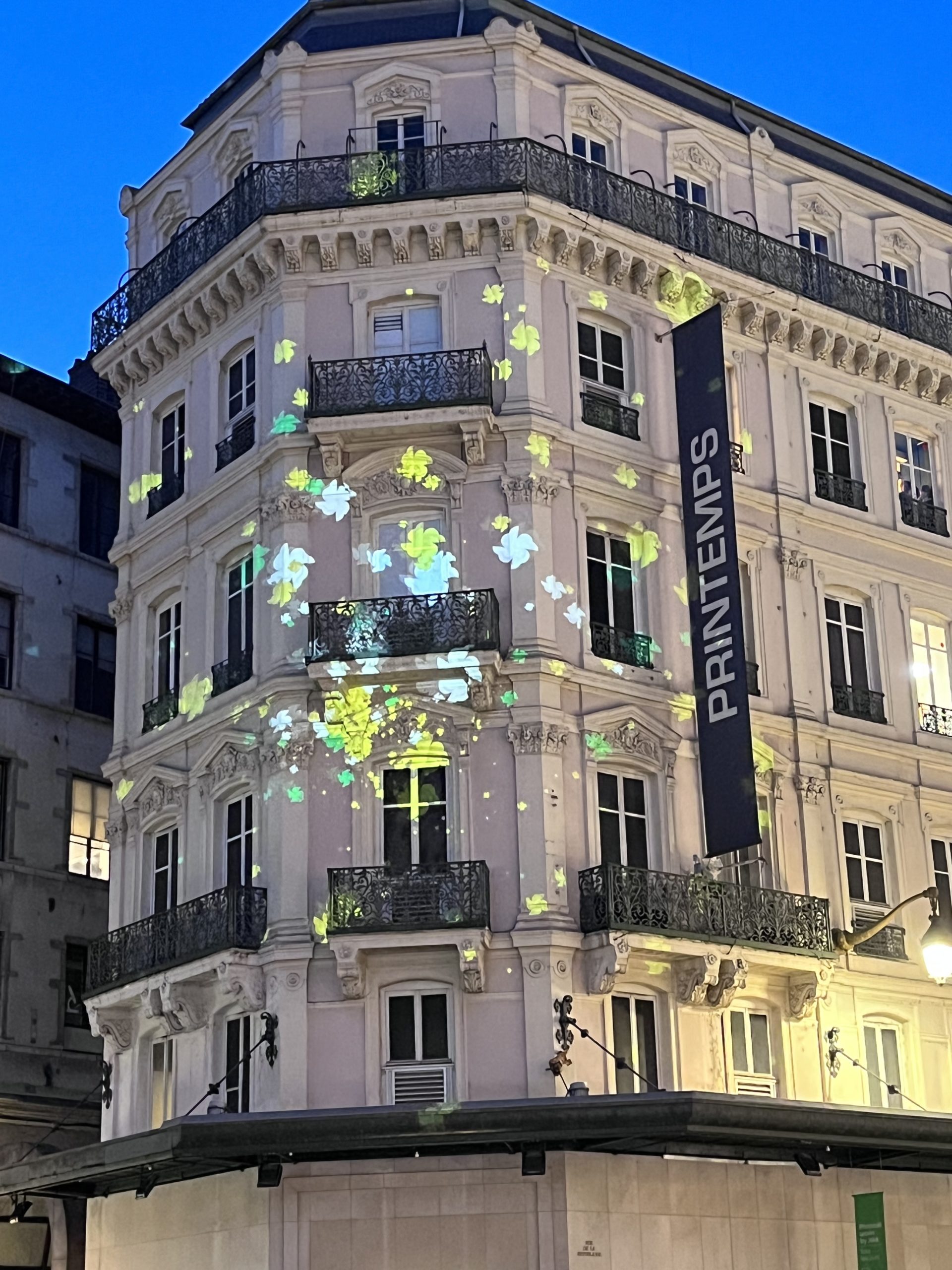 Beyond the Ledger: The Human Cost of 'Reorganization'