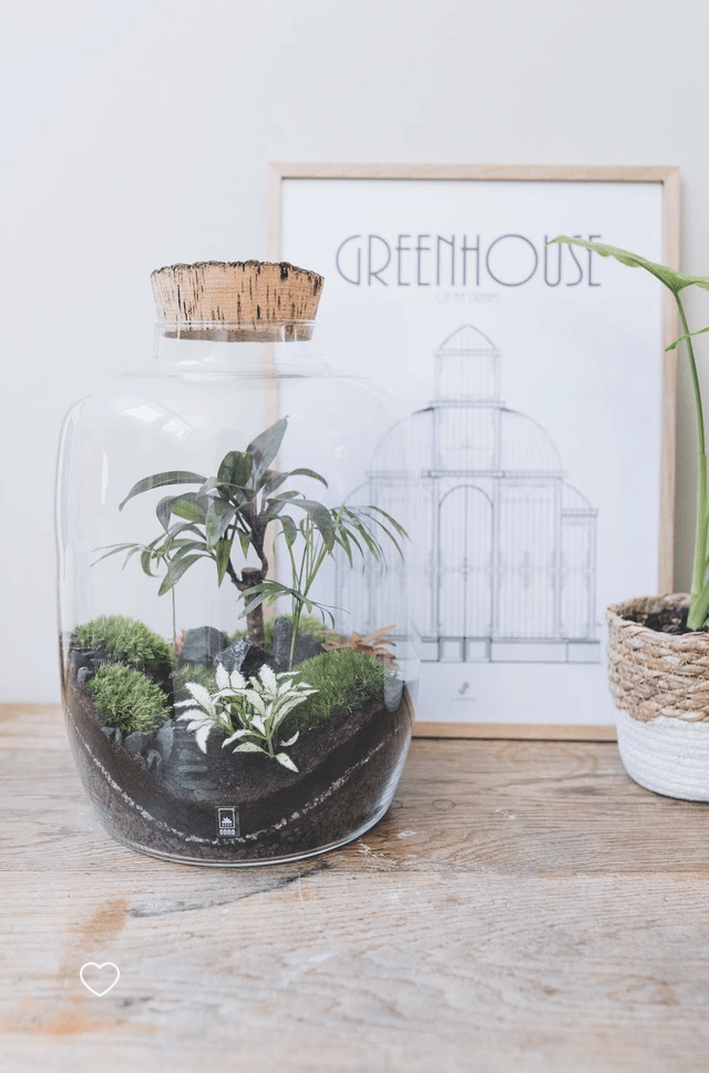 Atelier Terrarium M Samedi 25 mars 2023 à 10h My Presqu'île