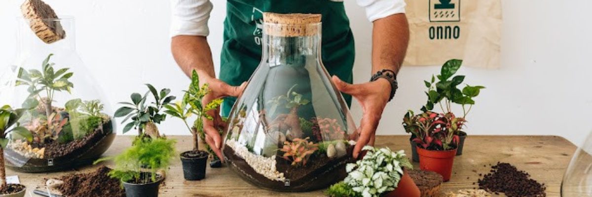 Atelier terrarium XXL chez Onno 27/04/2024